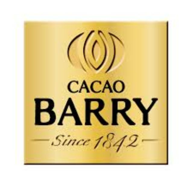 法國CACAO BARRY 100%可可膏 鈕扣 生酮飲食 低碳飲食 烘焙 零食 現貨熱銷中 生巧克力