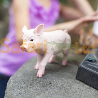 [美國Safari] 265429 小豬模型
