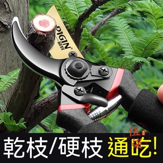 【嚴選商品 優先出貨】剪樹枝專用剪刀 樹枝修剪 果樹修剪 修枝剪刀 花藝園藝工具