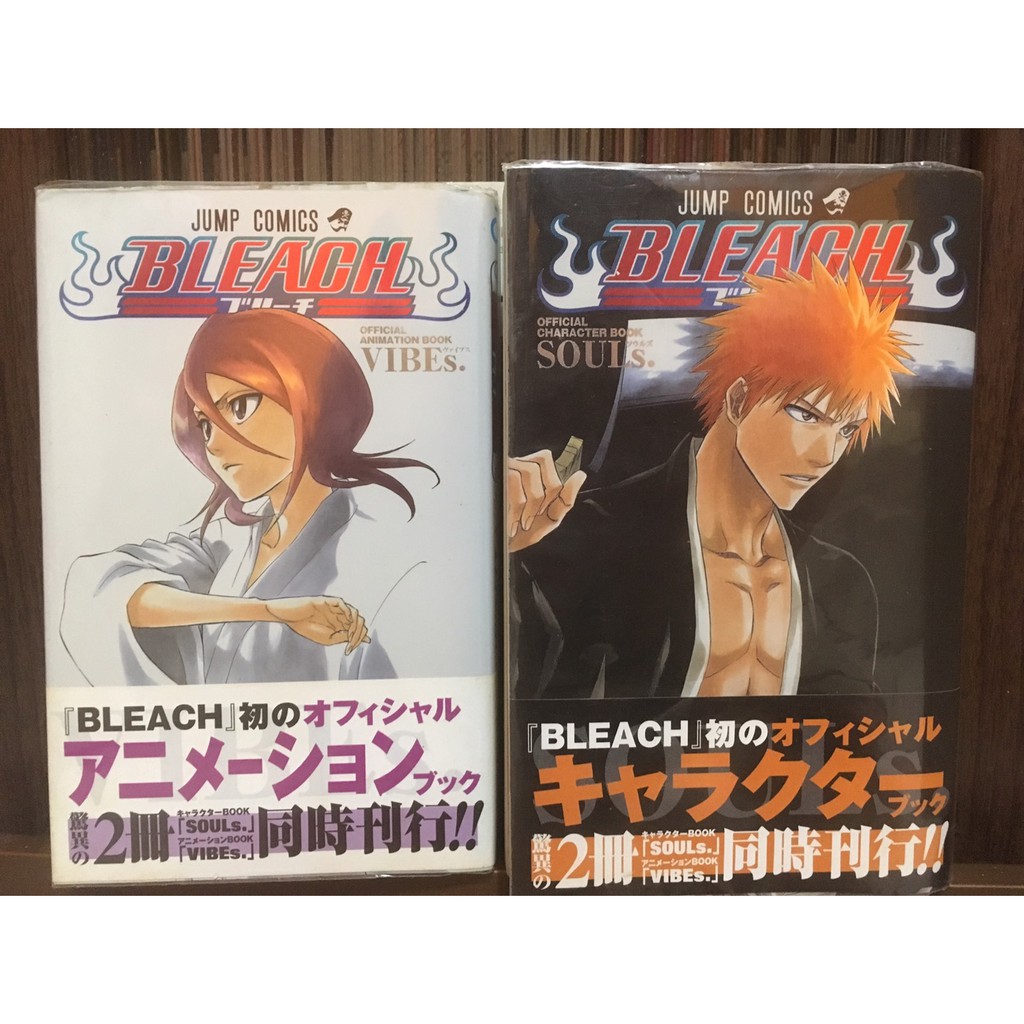 Bleach 死神公式角色設定書 日文 二冊 蝦皮購物