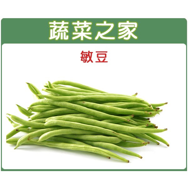 蔬菜之家滿額免運【00E01】大包裝.敏豆 (四季豆)種子350克