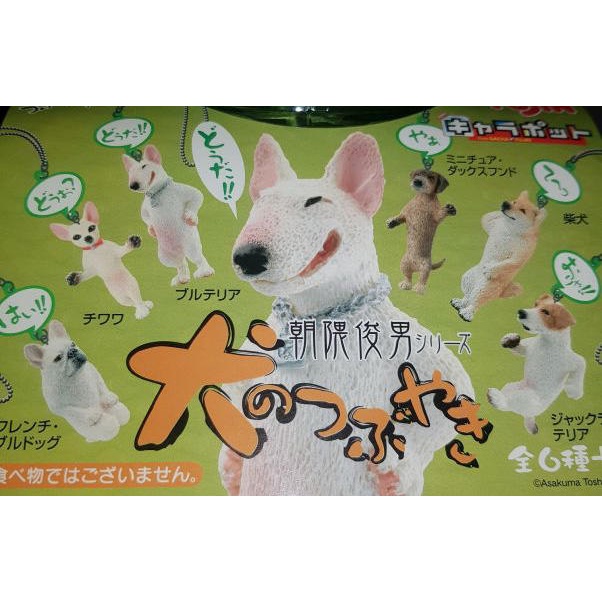 2022新作 Pre Autumn 朝隈俊男 犬の生活PART1(4種)＆犬のくらしPART2(4