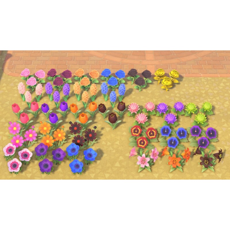 動森 瘋狂花農 異色花藍玫瑰金玫瑰紫風信子紫銀蓮都是自己繁殖的 各色皆有哦 動物之森 蝦皮購物