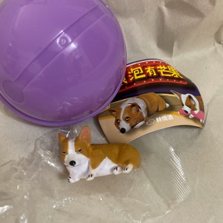 連環泡有芒果 扭蛋🐶 降價