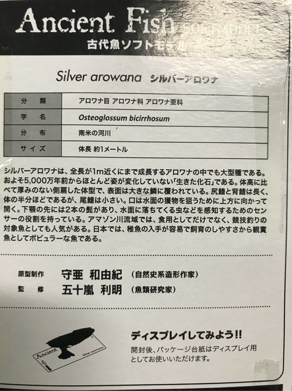 牛哥釣具 日本銀帶模型逼真銀帶古代魚模型 蝦皮購物