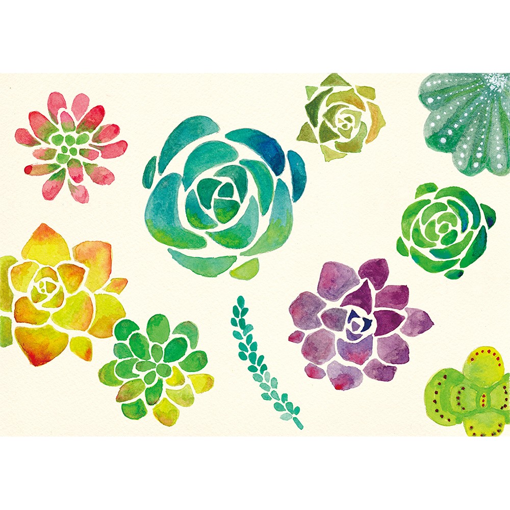 价格从 22 57 多肉植物 水彩 Best Price Products