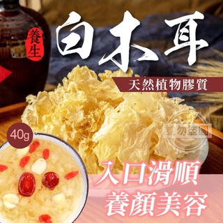 ［福氣南北貨］40g白木耳（現貨）全省宅配