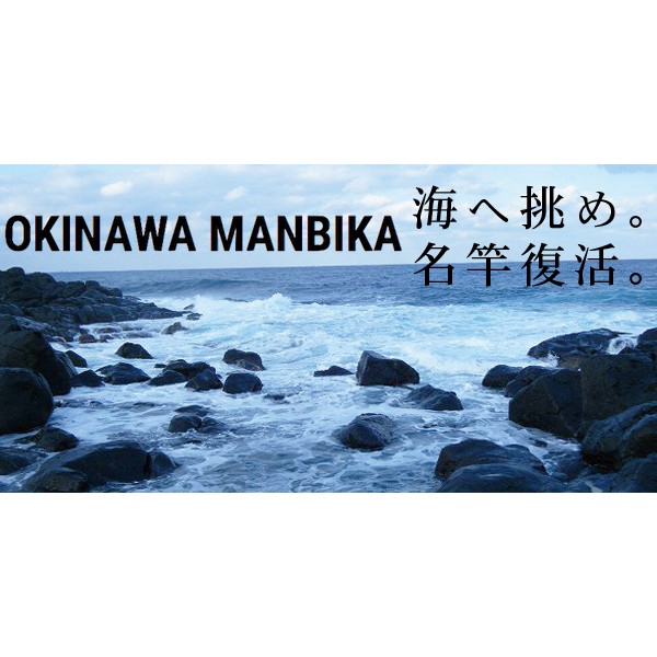 &gt;日安路亞&lt; tailwalk Okinawa MANBIKA 海水岸拋巨物竿 海水大物竿 直柄 槍柄