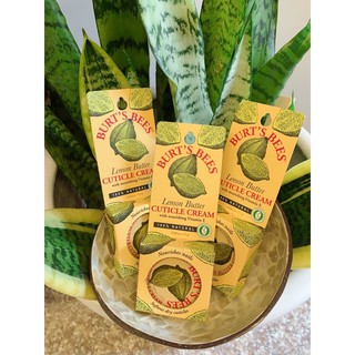 🍋Burt's Bees 檸檬指甲修護霜 小蜜蜂爺爺 指甲修護