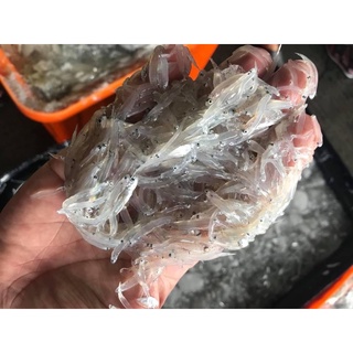 《南方澳生凍吻仔魚》重量：200g（真空盒裝） 晶瑩剔透的吻仔魚純天然新鮮
