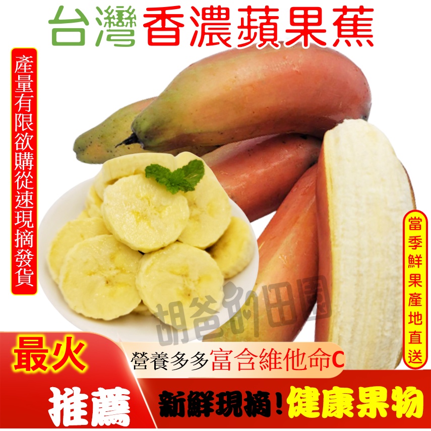#水果批發# 香蕉 蛋蕉 芭蕉 蘋果蕉 獲得台灣好農評選 香蕉苗 旦蕉苗 蘋果蕉苗 鮮甜上市 花蓮自產自銷 香Q好吃