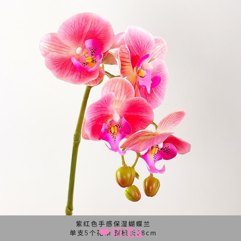 精選品質單枝蝴蝶蘭仿真花客廳插花餐桌花束手感保濕假花裝飾花藝花材套裝 蝦皮購物