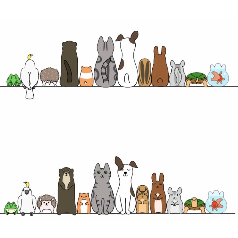 可愛動物印章h 動物背景印章鸚鵡透明印章硅膠印章矽膠印章水晶印章手帳創作印章手帳印章手帳背景創作 蝦皮購物