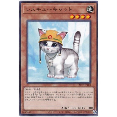 遊戲王 日紙 卡冊 22TP-JP103 救援貓 (普卡)
