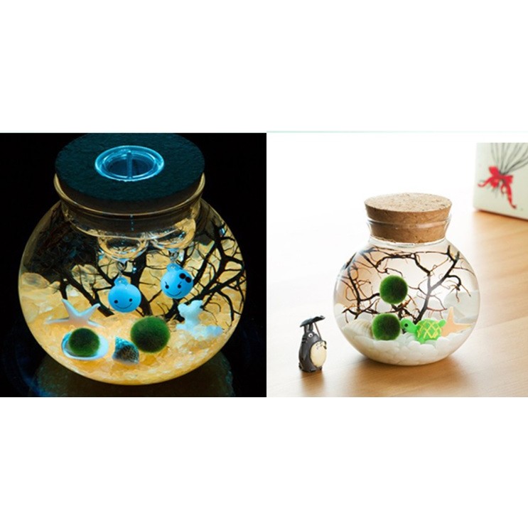 微景觀飾品 苔蘚微景觀生態瓶 玻璃瓶 帶燈玻璃瓶 海藻球生態瓶 DIY 永生花瓶器 LED燈 植物造景 微景觀帶燈木塞瓶