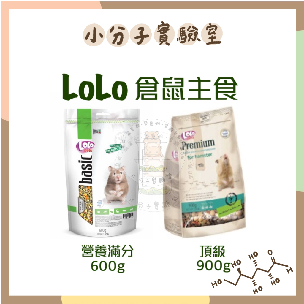 侏儒鼠主糧的價格推薦 - 2024年10月| 比價比個夠BigGo