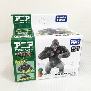【HAHA小站】AN49962 麗嬰 日本 TAKARA TOMY 探索動物 多美動物 ANIA AS-36 黑猩猩