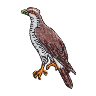 東京都 Kyo-to-to 大鷹 繡片 Patch Goshawk 日本帶回 全新