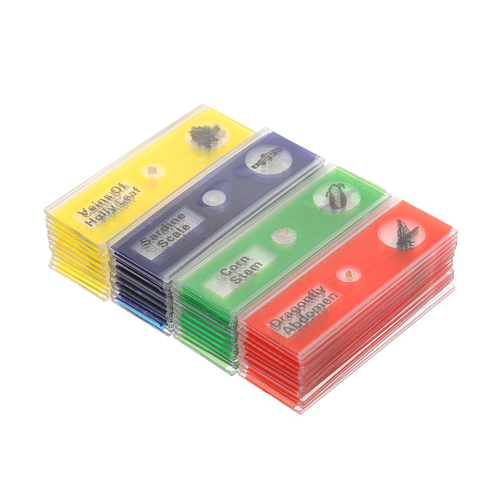 Tomshine48件套顯微鏡生物塑料切片植物動物昆蟲組織切片英文標籤顯微鏡玻片 蝦皮購物