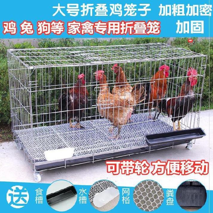 ™☽狗籠子組裝戶外寵物籠鐵雞籠養殖幼雞養雞籠雞籠子通用飼養折疊。