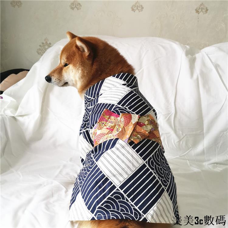 柴犬和服 Ptt Dcard討論與高評價網拍商品 21年11月 飛比價格