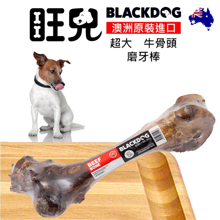 旺兒 澳洲超大牛骨頭 當磨牙棒天然寵物零食 蝦皮購物