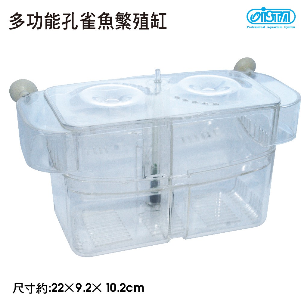 孔雀魚繁殖 優惠推薦 21年6月 蝦皮購物台灣