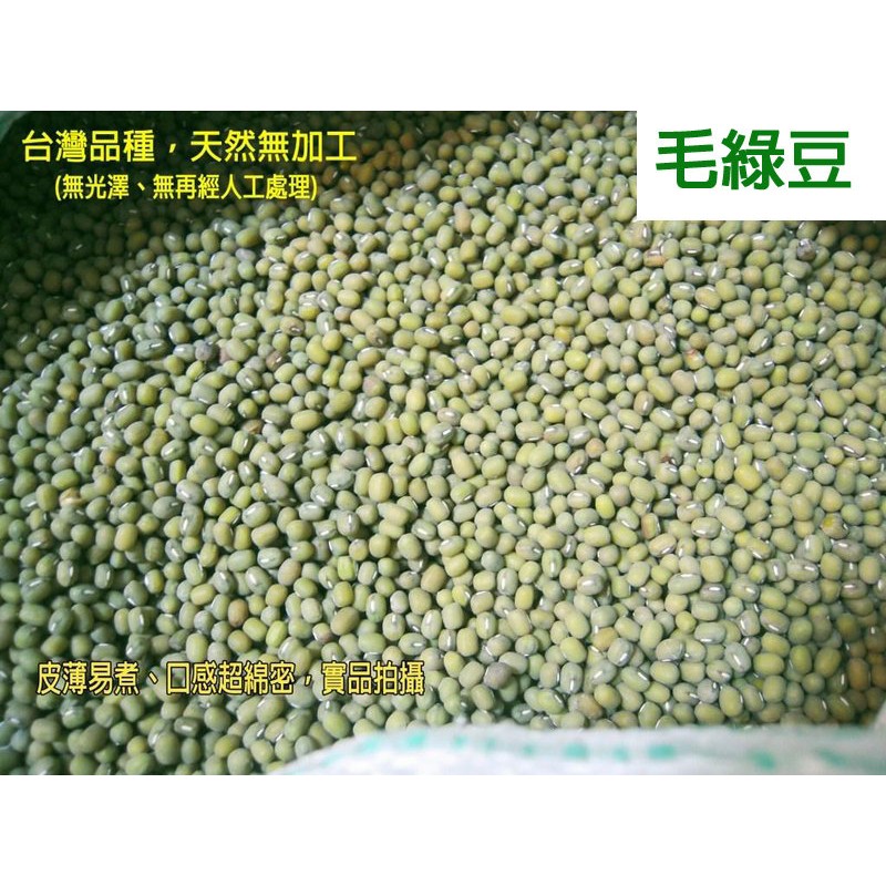 台灣品種毛綠豆(SGS檢驗合格)皮薄易煮口感綿密~1斤600g含袋裝
