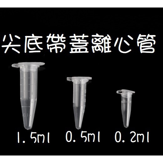 Z.h Succulent/種子儲存管/種子瓶/多肉植物與仙人掌/百合/景天/龍舌蘭/番杏/塊根/大戟