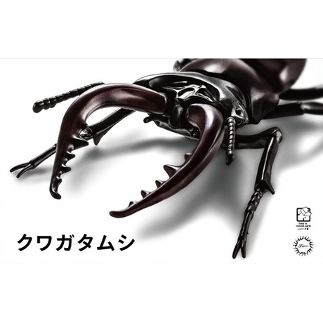 小短腿玩具世界 Fujimi 富士美自由研究22 生物篇鍬形蟲 蝦皮購物