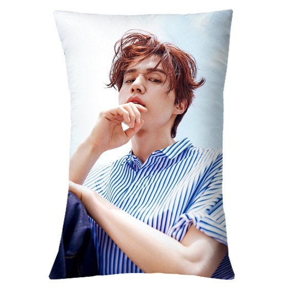 LEE DONG WOOK  Double-sided pillowcase W KOREA