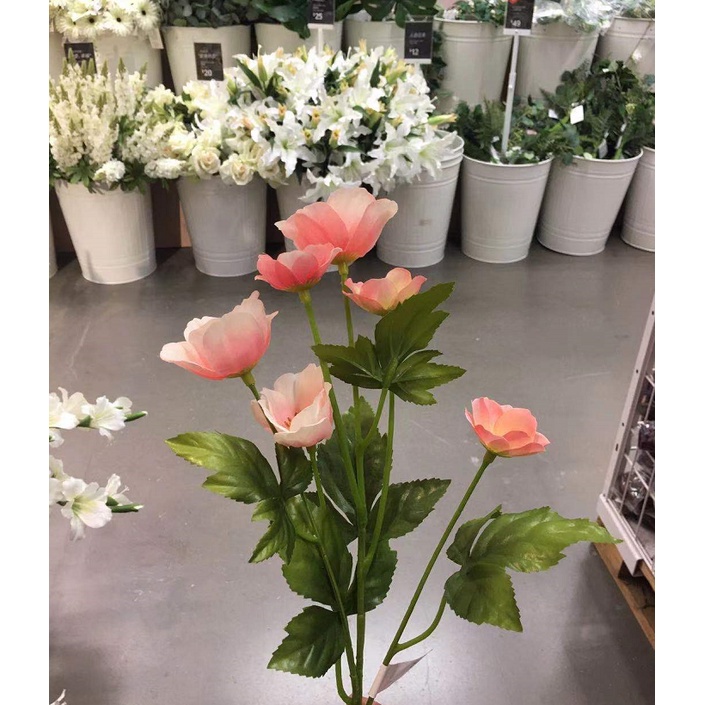 Ikea 假花的價格推薦 22年7月 比價比個夠biggo