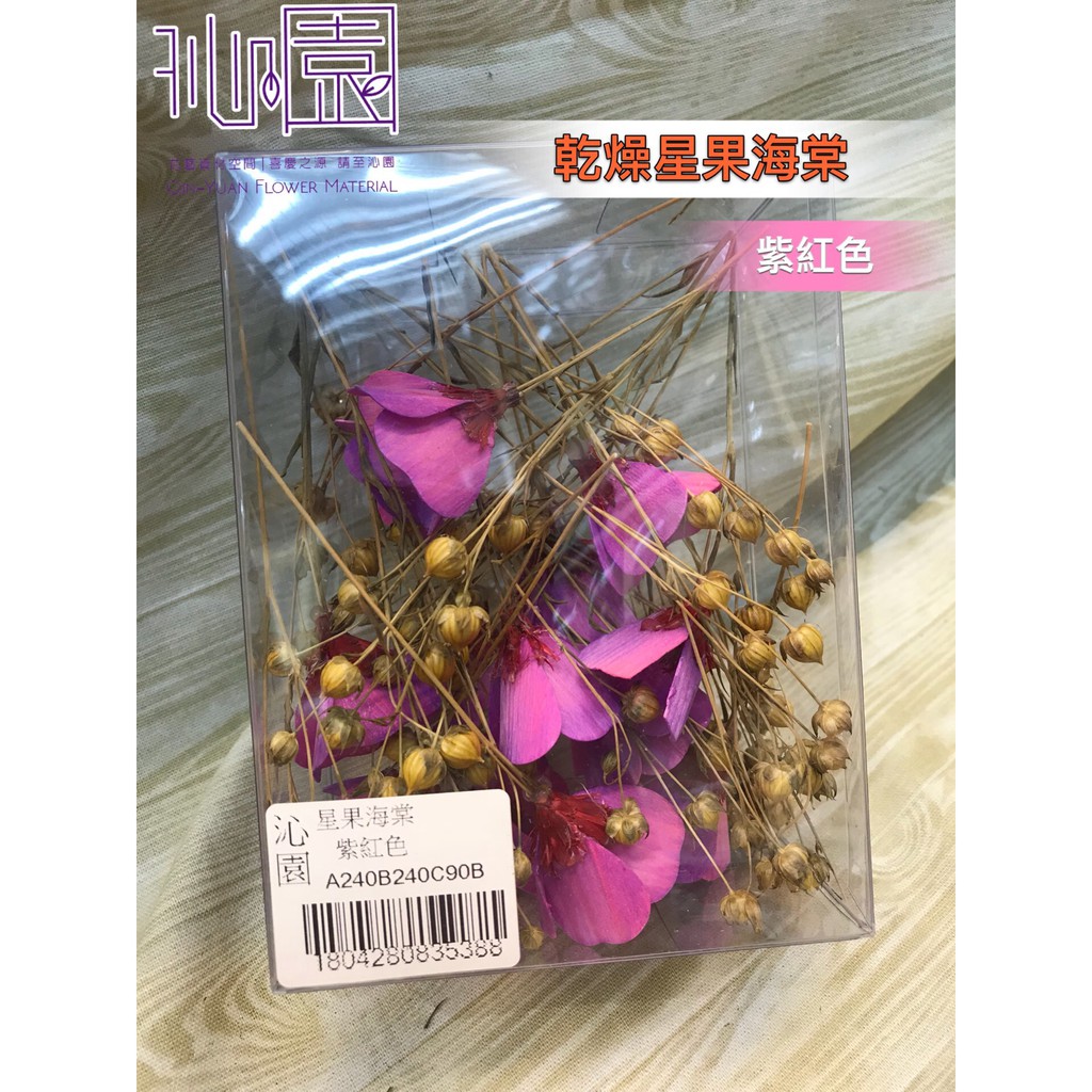 沁園 乾燥星果海棠 紫紅色 蝦皮購物