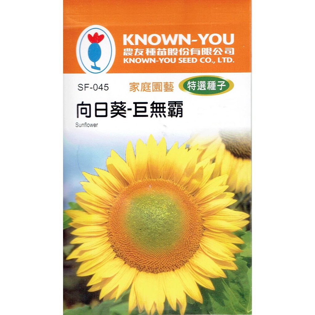 向日葵種子 優惠推薦 22年10月 蝦皮購物台灣