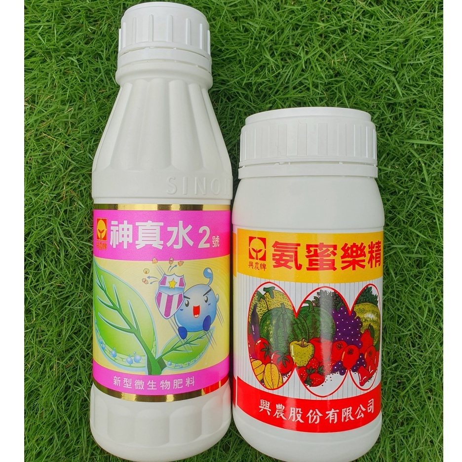 神 真水 2 號