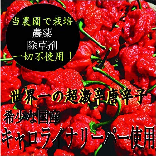 超激辛七味唐辛子 日本原裝激辛調味料醬料美食激辛辣粉飆淚快感噴火般麻辣 大福部屋 蝦皮購物