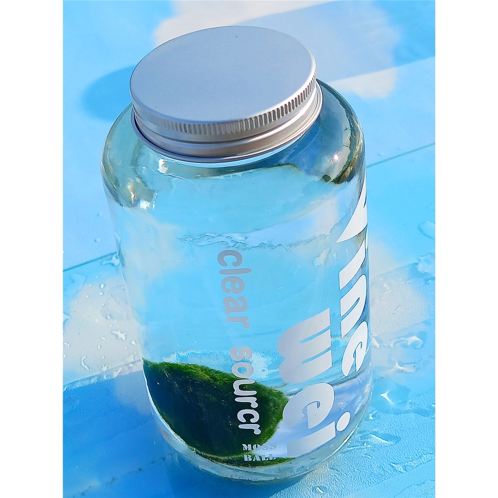包郵moss綠藻球水藻球生態玻璃瓶微景觀創意迷你水培植物水底盆栽