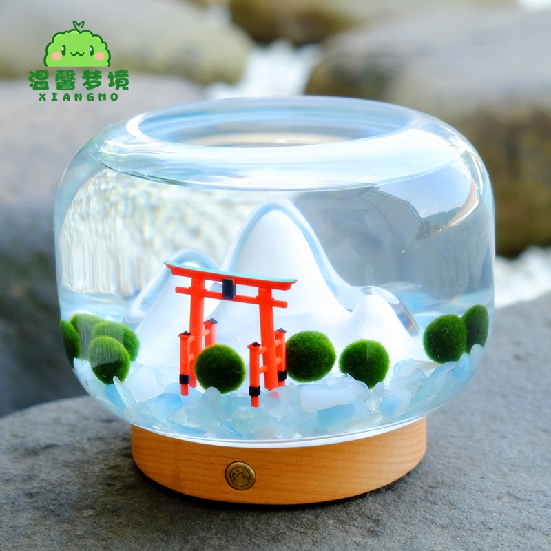 日式暖山居marimo海藻球diy微景觀桌面植物盆栽創意禮品夜燈擺件