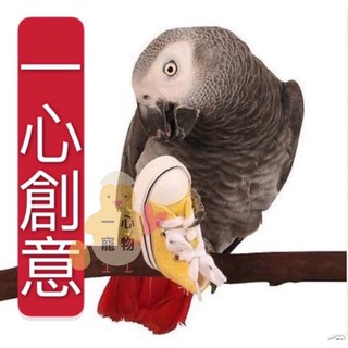 🔥臺灣現貨🔆當日寄出🔥迷你帆布鞋、車架鞋子、鸚鵡玩具、寵物鞋子、超小帆布鞋、寵物鳥 啃咬迷你帆布鞋 摩托車鞋子
