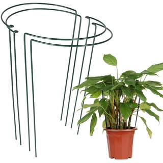 園藝工藝品植物支柱1 個配套花褲植物視圖藝術支柱包裝花園支柱花支用於園藝 蝦皮購物