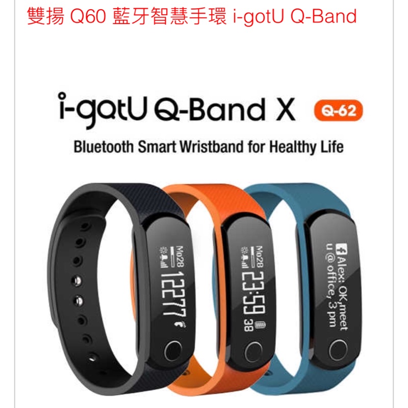 雙揚 Q62 藍牙智慧手環 i-gotU Q-Band
