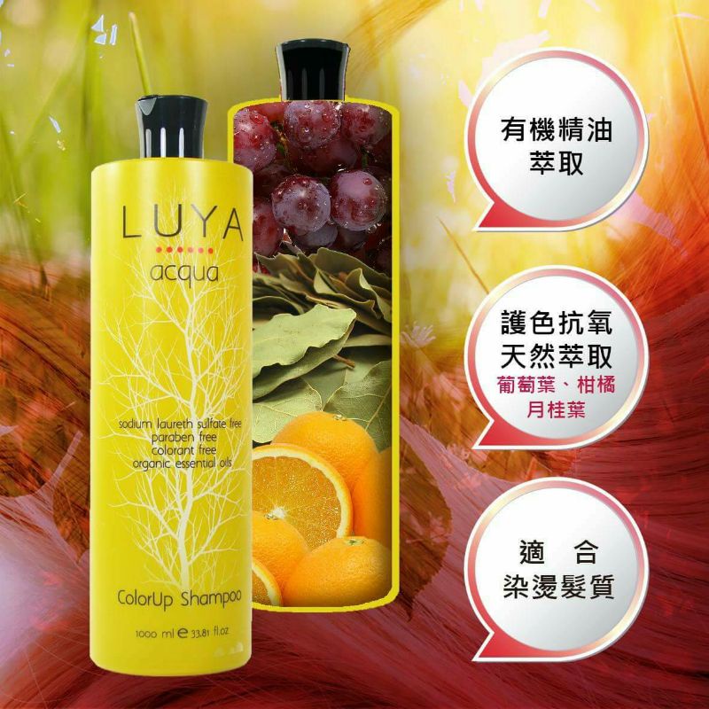Luya護色洗髮精 Ptt與dcard推薦網拍商品 2021年12月 飛比價格