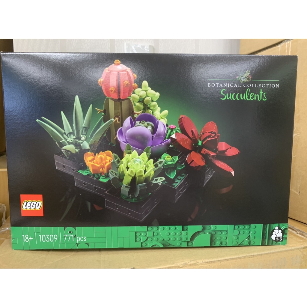 【Meta Toy】LEGO樂高 創意系列 10309 多肉植物