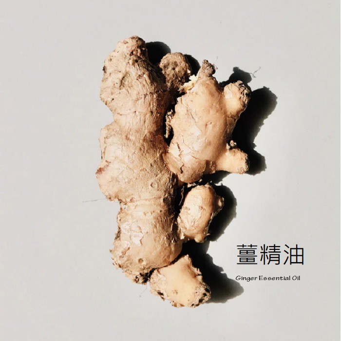 【muco】薑精油 (Ginger Essential Oil)
