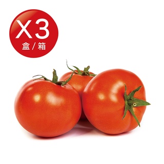 【盛花園蔬果】滿滿茄紅素-雲林西螺牛番茄(500g/盒，3盒/箱、6盒/箱可任選)