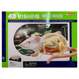 玩得購【4D MASTER】立體拼組模型-半透視-白老鼠 26002
