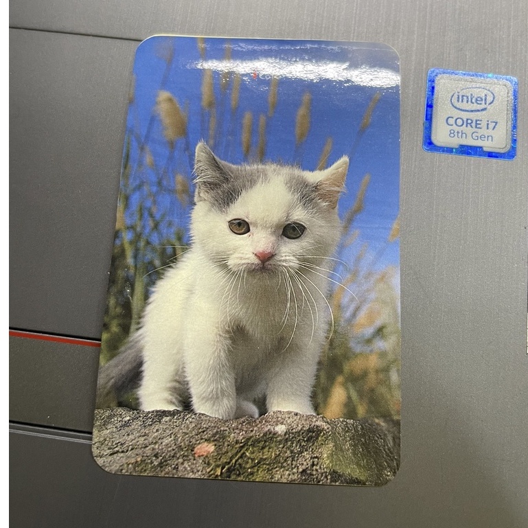 貓咪 貓 cat 動物 寵物 悠遊卡貼 貼紙 造型 卡貼 現貨 瑕疵 出清