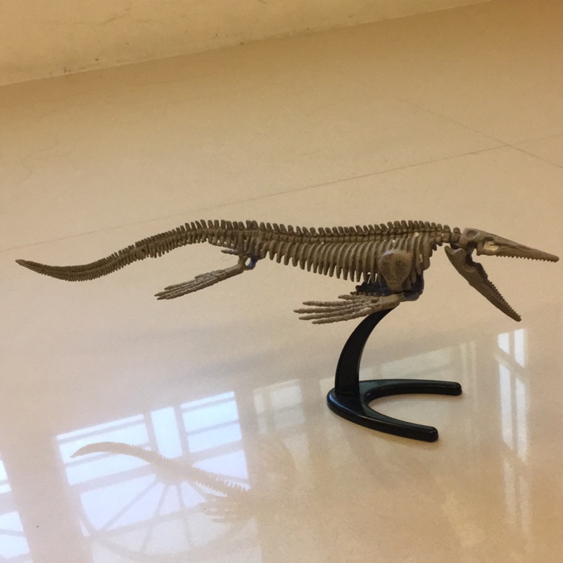 GEOWORLD 恐龍骨架模型 滄龍 拼裝模型