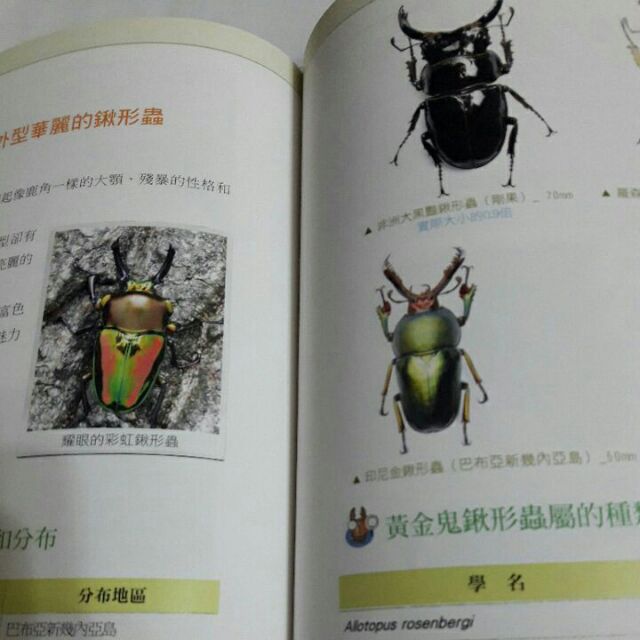 S10隨遇而安書店 甲蟲王 鍬形蟲vs 大兜蟲 作者 照片 張榮哲 譯者 金哲 出版 漢湘文化 初版精裝 08年精裝 蝦皮購物