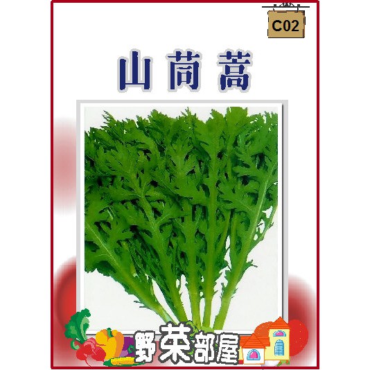 萌田種子 蔬菜種子 C02 日本山茼蒿種子4 7公克 約2100粒 又名 春菊 每包12元 蝦皮購物
